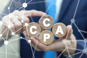 What is CCPA? (And How to Become Compliant)