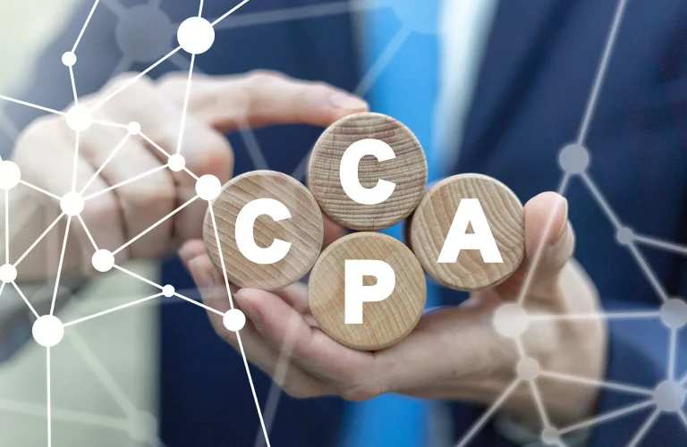 What is CCPA? (And How to Become Compliant)